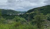 Randonnée Marche Bourscheid - Escapardenne Lee Trail: Moulin de Bourscheid - Hoscheid - Photo 18