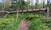 Percorso Marcia Spa - aérodrome. bois des vieilles fagnes . malchamps . retour le long de la fagne  - Photo 2