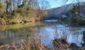 Trail Walking Jemeppe-sur-Sambre - Ham s/ Sambre 090124 - Photo 11