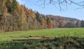 Percorso A piedi Žernov - NS Jakuba Míly - Photo 10