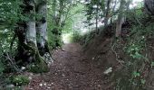 Excursión Senderismo Autrans-Méaudre en Vercors - t4m j2 - Photo 9