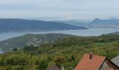 Trail Electric bike Doussard - col de Forclas tour du lac d Annecy  - Photo 12