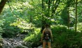 Trail Walking Aywaille - Le Ninglinspo   - Photo 1