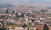 Tocht Stappen Fleurie - Fleurie (Rhône) 17 km - D. 498 m - Photo 2