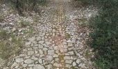 Trail Walking Viols-le-Fort - Viols le Fort chemin des tombes aven Vidal - Photo 5