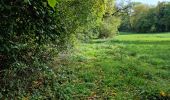 Randonnée Marche Chauffour-lès-Étréchy - Chauffour-lès-Etréchy Coteau des Verts Galants - Photo 17