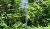 Trail Walking Bad Peterstal-Griesbach - Buhlbachsee & Lotharpfad - Photo 14