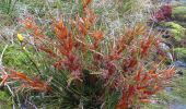 Tocht Te voet Fiordland Community - Borland Road to Monowai Hut - Photo 1