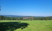 Tour Wandern Dreibrücken - rando logbiermé 6-08-2024 - Photo 19