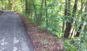 Trail Walking Namur - La Plante Wepion Marlagne Malonne Cabacca Maquet - Photo 3