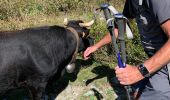 Trail Walking Saint-Gervais-les-Bains - 4ieme jour les chalets de Miage - Photo 4