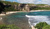 Tocht Stappen Le Moule - Porte d'Enfer - Anse Gros Morne - Photo 15