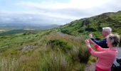 Tour Zu Fuß West Cork - Coomkeen Loop Walk - Photo 1