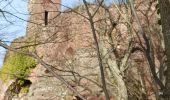 Tour Wandern Mollkirch - Château de Guibaden - Photo 11