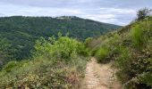 Trail Walking Saint-Léger-de-Peyre - St lLeger de Peyre - Photo 6