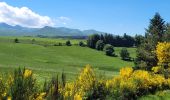 Tocht Stappen Besse-et-Saint-Anastaise - 270522 Besse / Chambon - Photo 3