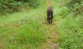 Randonnée Marche Montfiquet - cerisy la forêt 5km - Photo 12