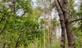 Excursión Senderismo Zonhoven - de-wijers-de-teut-instapplaats-donderslagseweg-blauw - Photo 2