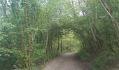 Tour Wandern Maastricht - autour de la carrière Montagne St Pierre  - Photo 18