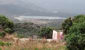 Trail Walking Monticello - boucle d'arbo - Photo 1