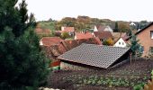 Tour Zu Fuß Südharz - Rundweg Hainrode - Photo 1