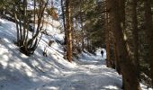 Tocht Noords wandelen Arbaz - bisse de Sion  - Photo 1