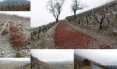 Randonnée Marche Chignin - Vignoble-de-CHIGNIN-2021-01-31 - Photo 1