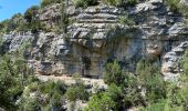 Percorso Marcia La Palud-sur-Verdon - La palud sur Verdon - Photo 19