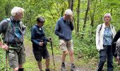 Trail Walking Saint-Hubert - Awenne - Photo 2