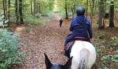 Trail Equestrian Charleville-sous-Bois - Wikiloc - Gondreville - Les secrets des bois - Photo 6