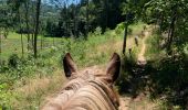Trail Horseback riding Ban-de-Laveline - Ban de Laveline- Fraize - Photo 9
