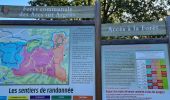 Trail Walking Les Arcs-sur-Argens - Vidauban - Tournavelle - Photo 5