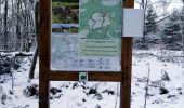 Trail Walking Waimes - La fagne de la Poleur. - Photo 7