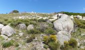 Excursión Bici de montaña Vialas - Mas de barque tracé 2 - Photo 3