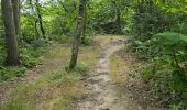 Tocht Stappen Soisy-sur-École - Soizy-sur-Ecole - La Padole - Photo 13