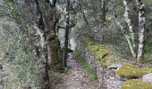 Randonnée Marche Bessèges - Besseges Aujac GR pays - Photo 9