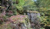 Excursión Senderismo Mollkirch - Sentier des demoiselles de pierre / Molkirch - Photo 8