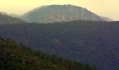 Percorso Marcia Bormes-les-Mimosas - SityTrail - 3043274 - bargeanxchartreuse-verne - Photo 9