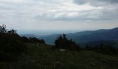 Trail Walking Sondernach - mp sondernach 2019 - Photo 6