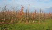 Tocht Stappen Aubel - Abbaye de Val Dieu - Photo 7