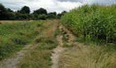 Excursión Ruta Hazebrouck - 12 km Hazebrouck nature  - Photo 1