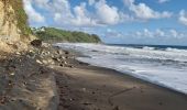 Tocht Stappen Unknown - Plage de Grande Anse Le Lorrain - Photo 16