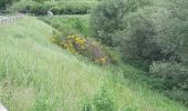 Tocht Stappen Blanzat - PLATEAU DE LA BADE - Photo 4