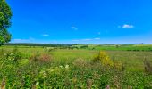 Tour Wandern Libramont-Chevigny - Balade à Remagne - Libramont-Chevigny - Photo 5