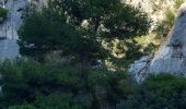 Tour Wandern Marseille - Calanque d'en Vau - Photo 13