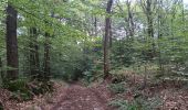 Trail Walking Aywaille - dieupart . embleve . thier bosset . kin . henoumont . vieux jardin . dieupart  - Photo 12