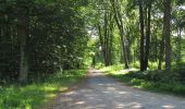 Randonnée Marche Rethondes - en forêt de Laigue_6_12_2019_Route Forestière des Princesses_Route et Chemin de Briançon - Photo 19