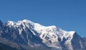 Trail Walking Chamonix-Mont-Blanc - Aiguillette des Posettes 2201m 6.7.22 - Photo 11