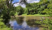 Excursión Senderismo Candé-sur-Beuvron - Randonnée au départ de Candé sur Beuvron - Photo 4