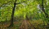 Tour Wandern Onhaye - De Miavoye à Maurenne par le vallon de Féron - Photo 11